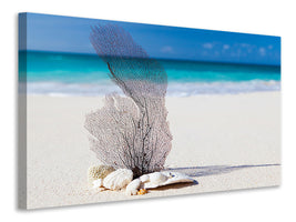 canvas-print-beach-art