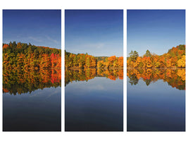 3-piece-canvas-print-autumn-ii