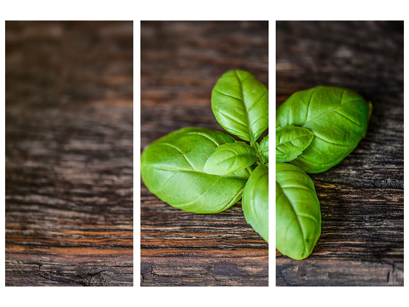 3-piece-canvas-print-basil-leaf-in-xxl