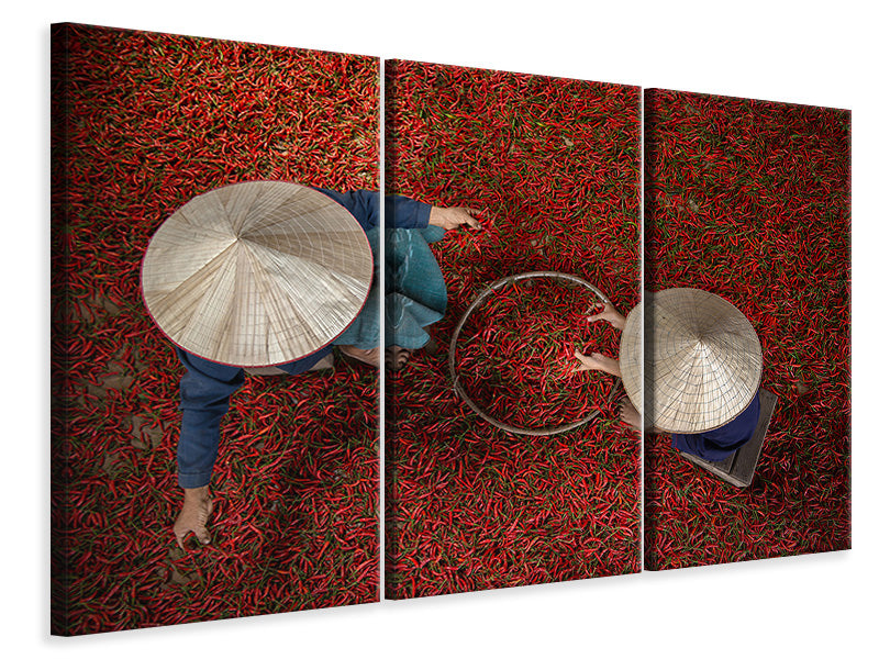 3-piece-canvas-print-chilli