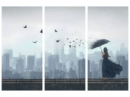 3-piece-canvas-print-fly-away