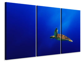 3-piece-canvas-print-flying