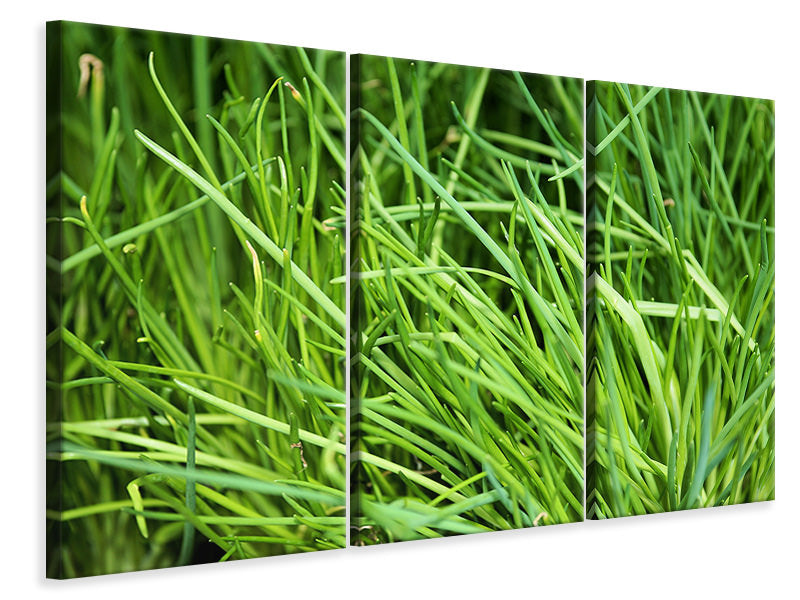 3-piece-canvas-print-fresh-chives-xl