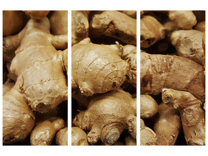 3-piece-canvas-print-ginger-tubers