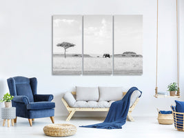 3-piece-canvas-print-high-key-savannah