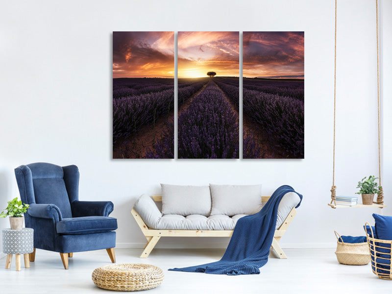 3-piece-canvas-print-lavender-sunset