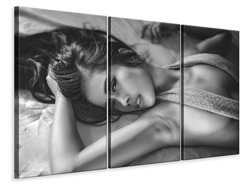 3-piece-canvas-print-laying-down