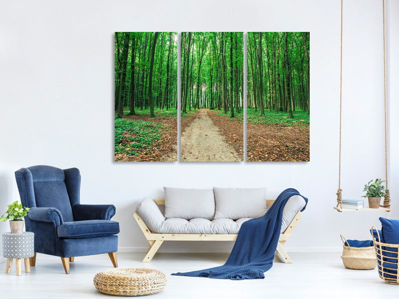 3-piece-canvas-print-pine-forests