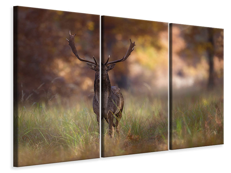 3-piece-canvas-print-posing