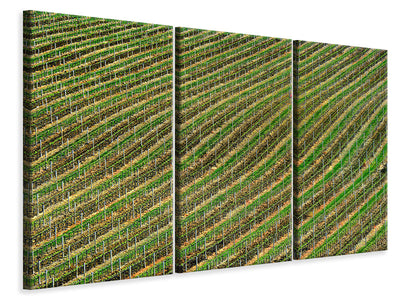 3-piece-canvas-print-vineyard