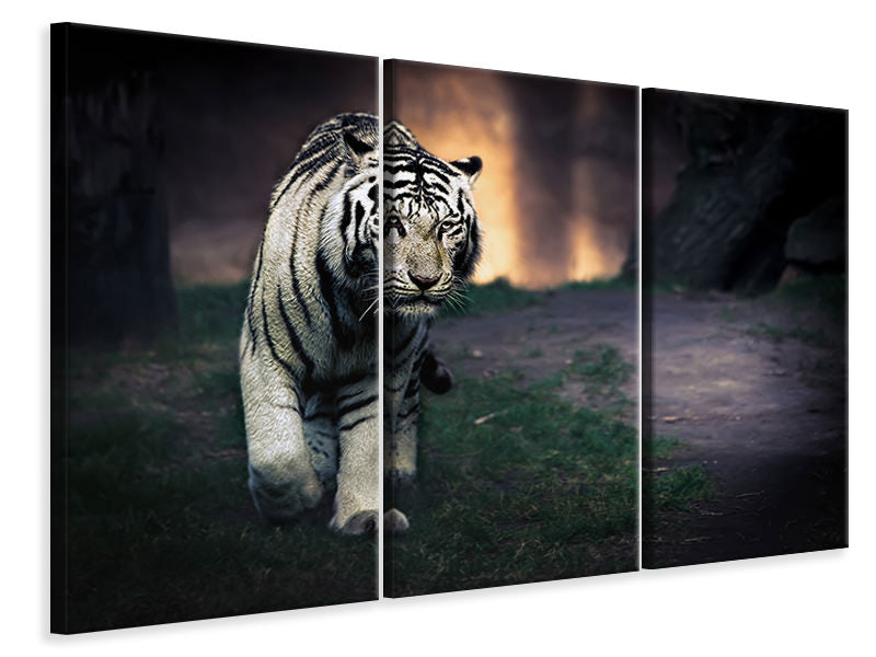 3-piece-canvas-print-white-walker