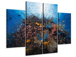 4-piece-canvas-print-life-explosion