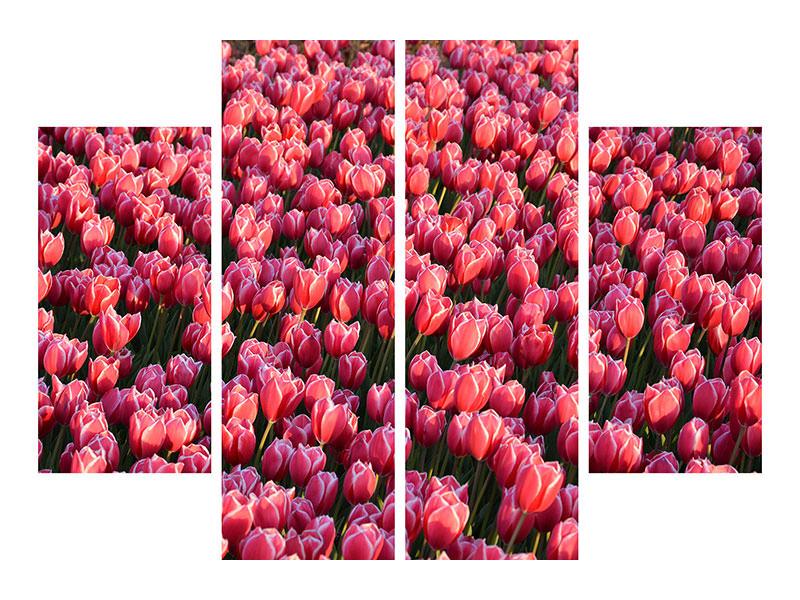 4-piece-canvas-print-lush-tulip-field