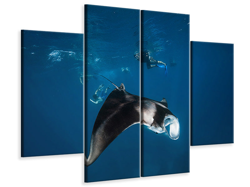 4-piece-canvas-print-manta-ray-ii