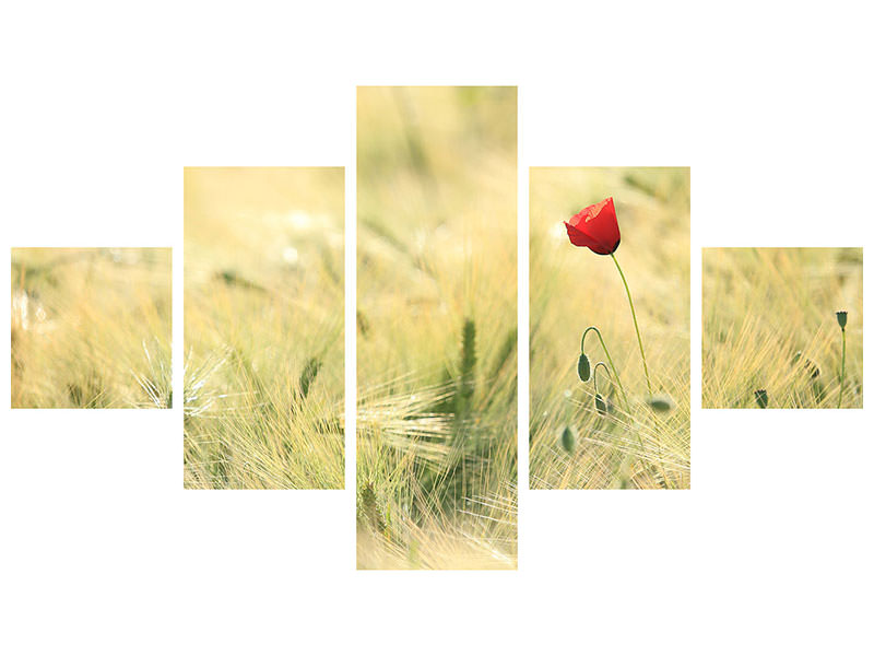 5-piece-canvas-print-a-poppy