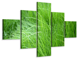 5-piece-canvas-print-blades-of-grass