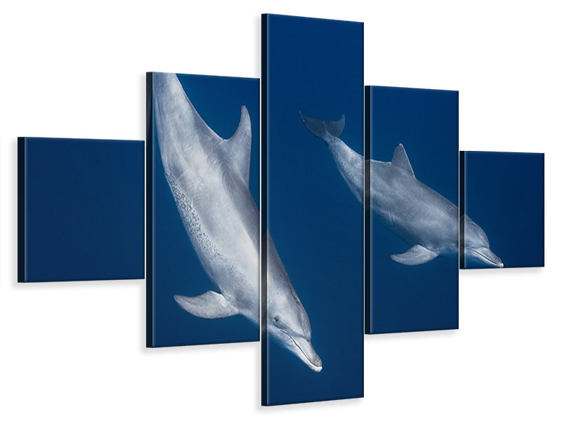 5-piece-canvas-print-bottlenose-dolphins