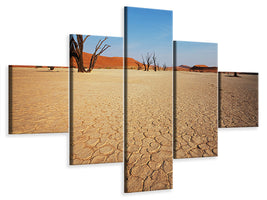 5-piece-canvas-print-desert
