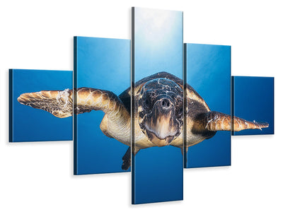 5-piece-canvas-print-face-to-face-with-a-hawksbill-sea-turtle