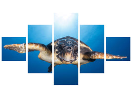 5-piece-canvas-print-face-to-face-with-a-hawksbill-sea-turtle