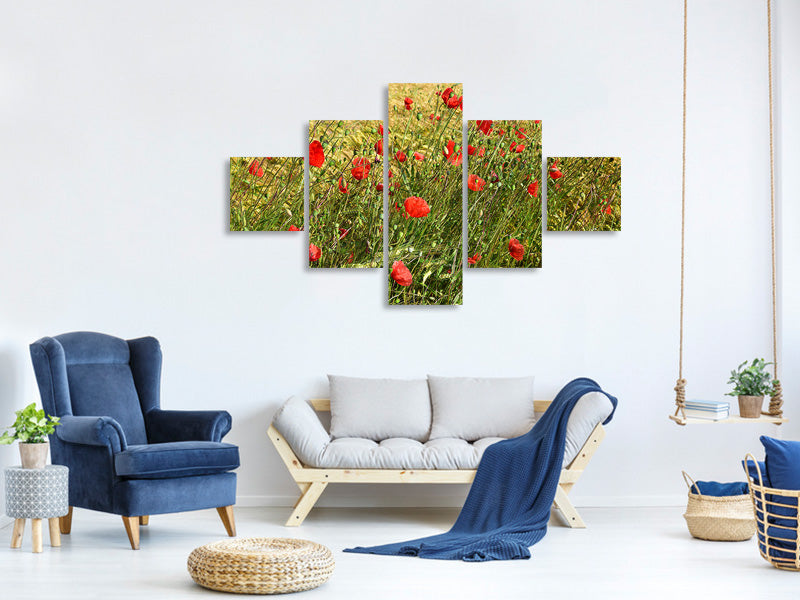 5-piece-canvas-print-the-poppy-in-the-wind