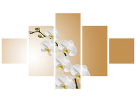 5-piece-canvas-print-white-orchids-xl