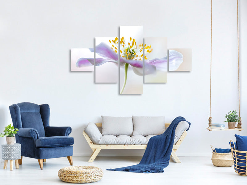 5-piece-canvas-print-wood-anemone