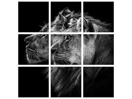 9-piece-canvas-print-lion-and-lioness-portrait