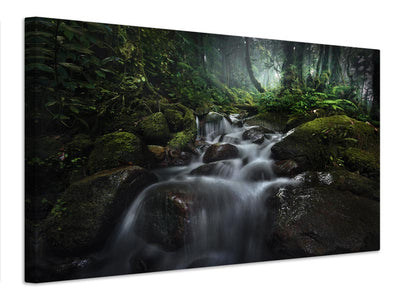 canvas-print-borneo-rainforest-x