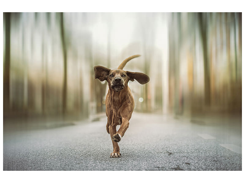 canvas-print-dancing-in-the-streets