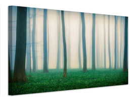 canvas-print-daydreaming-of-bluebells-x