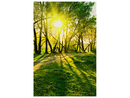 canvas-print-forest-path-in-sunlight