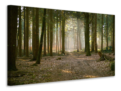 canvas-print-forest-run