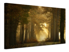 canvas-print-forever-forest-x