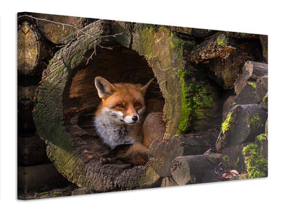 canvas-print-fox-xqe