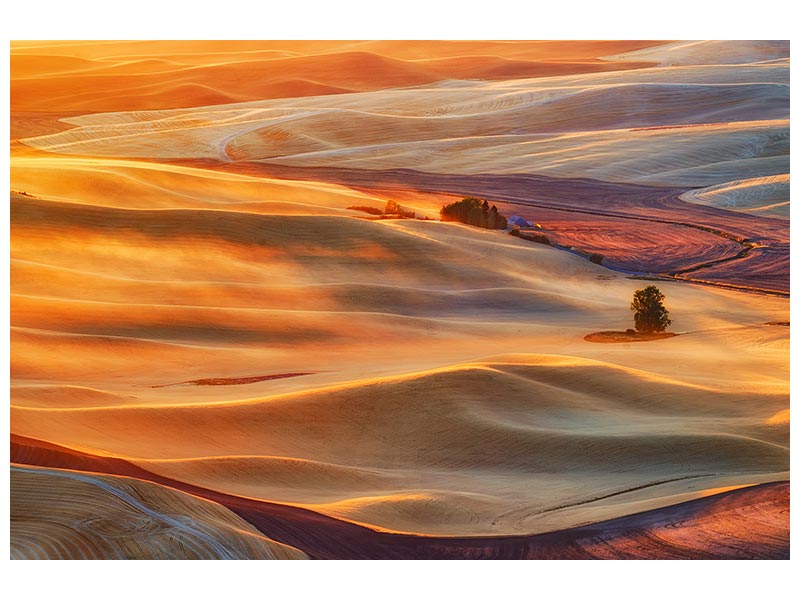 canvas-print-golden-palouse-x