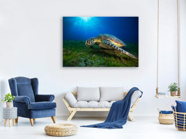 canvas-print-green-turtle-x