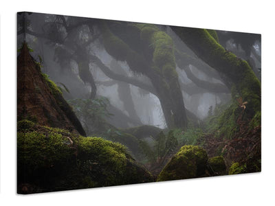 canvas-print-harenna-forest-xlf