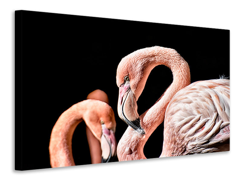 canvas-print-magnificent-flamingos