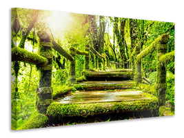 canvas-print-moss