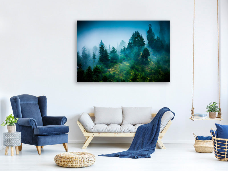 canvas-print-mysterious-forest-ii