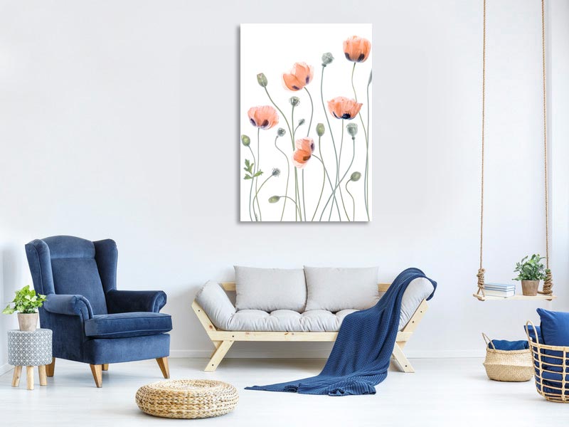 canvas-print-poppies-x