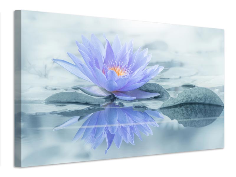 canvas-print-reflection-xus