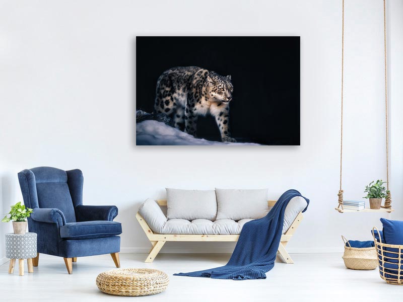 canvas-print-snow-leopard-x