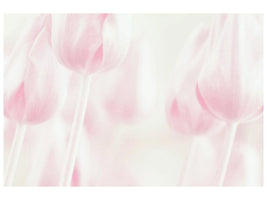 canvas-print-softness-x