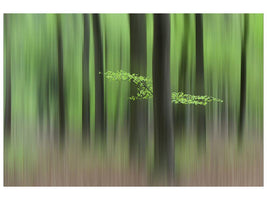 canvas-print-spring-morning-x