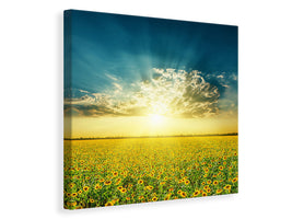 canvas-print-sunflowers-in-the-evening-sun