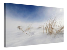 canvas-print-sunny-snowstorm-x