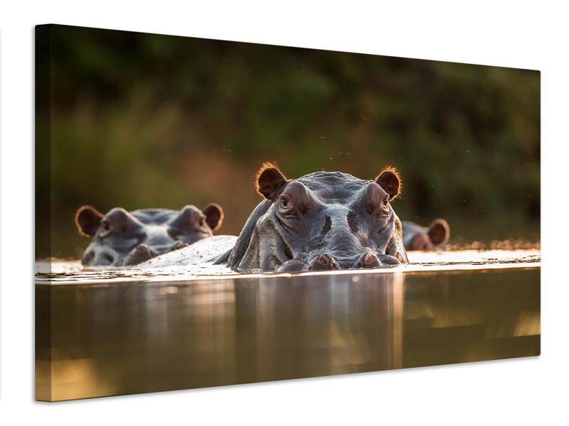 canvas-print-sunset-pool-x