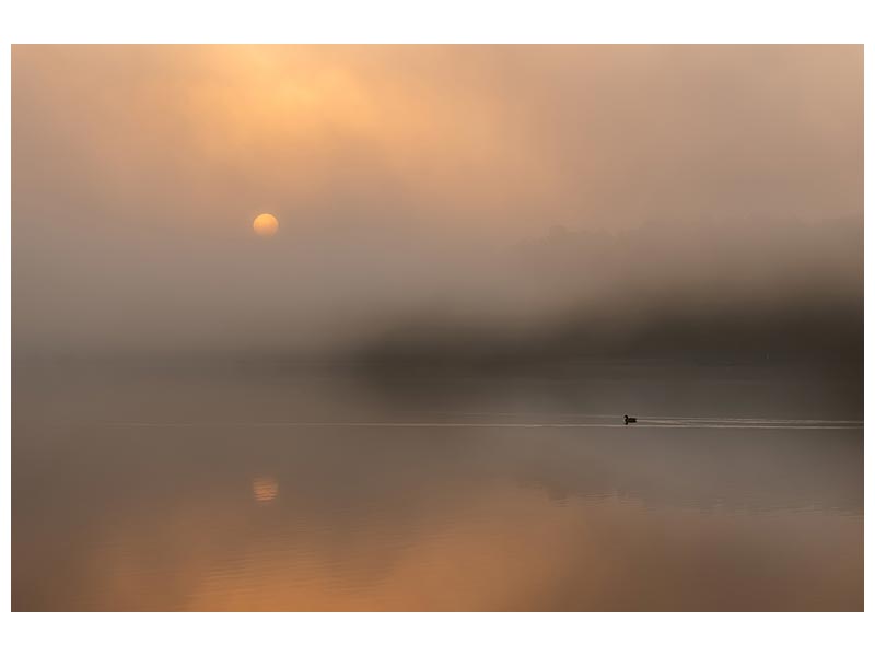 canvas-print-the-loneliness-of-the-longdistance-runner-x